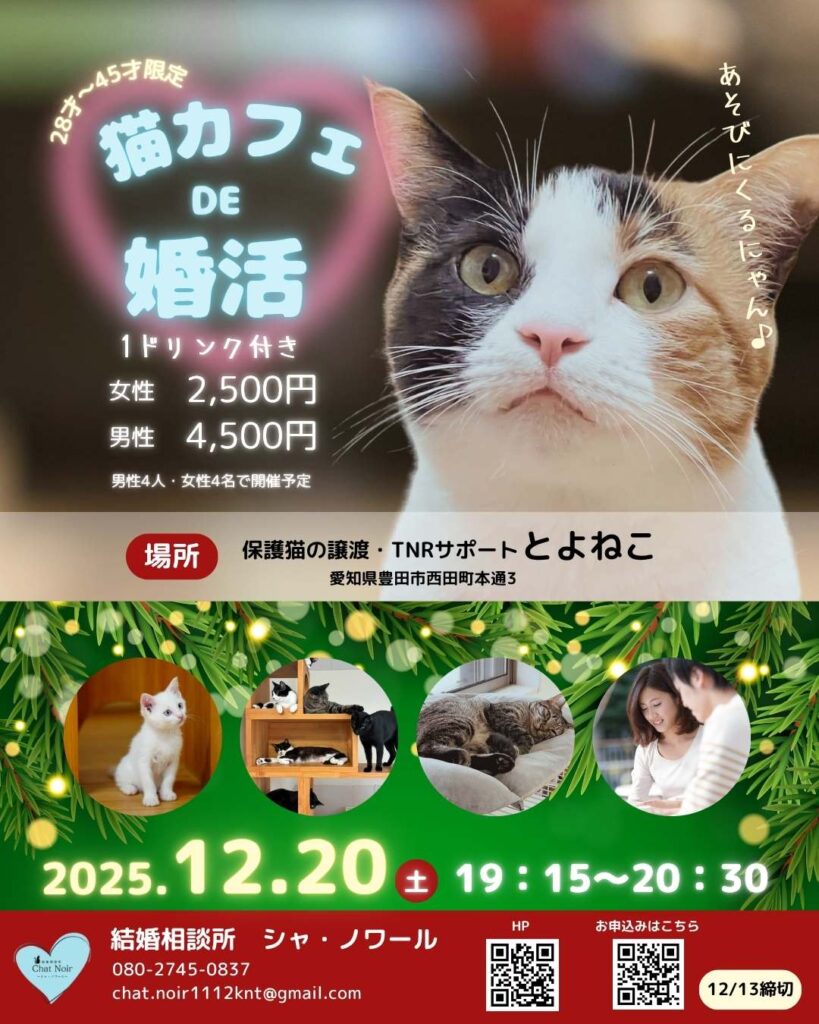 猫カフェ婚活イベント